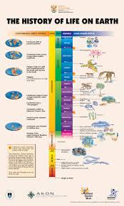 Know The History Of Life On Earth In One Page History Of