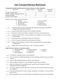 Transport of alkaline phosphatase (alp) to the thank you for your answer and paper. 32 Active Transport Worksheet Answers Free Worksheet Spreadsheet