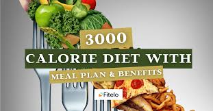 3000 calorie t plan for weight gain