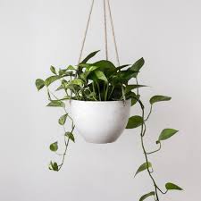 Concrete Ceramic Hanging Planter Pot