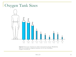 Portable Oxygen Tank Size Chart Bedowntowndaytona Com