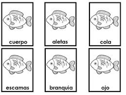 Nano era un pez que vivía en un pequeño río, nano era especialmente guapo, tenía todos los colores del arcoiris. Pez Worksheets Teaching Resources Teachers Pay Teachers