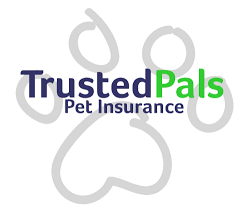 Know More About Trustedpals Best Pet Insurance Company
