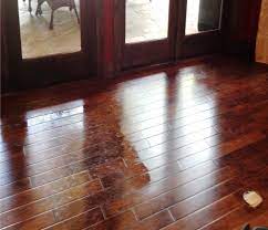 hardwood floor from becoming dull