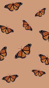 Cute Aesthetic Butterflies Wallpapers ...