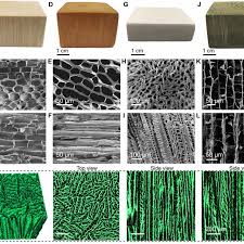 The Structural Characterization Of The Balsa And Polymeric