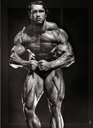 Arnold Schwarzenegger Muscle Building Diet Muscle