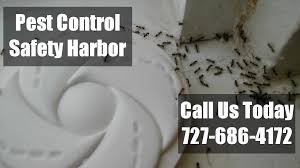 Pinellas park pest control companies. Pest Control Safety Harbor Fl 24 Hr Residential Bug Termite Exterminators