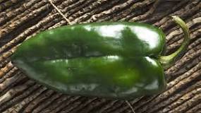What is the difference between poblano and jalapeno peppers?