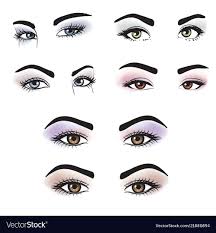 diffe colors with makeup vector image
