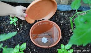 Self Watering Systems For Plants