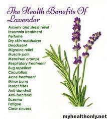 Maybe you would like to learn more about one of these? 10 Incredible Benefits Of Lavender Essential Oil My Health Only