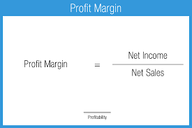 net profit margin accounting play
