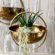 hanging plant pots and wall planters