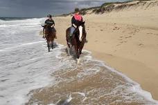 Private Day Trip: Horse Riding Adventure at...