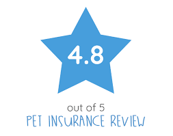 MetLife Pet Insurance gambar png