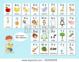 Vector cute kids animal alphabet. English Vocabulary And Alphabet Flash Card Vector For Kids To Help Learning And Education In Kindergarten Children Words Of Letter Abc To Z Each Card Isolated On White Background Poster Id 322662658
