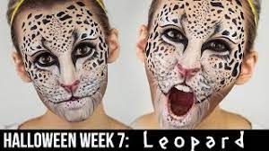 snow leopard cat makeup 13 cat makeup