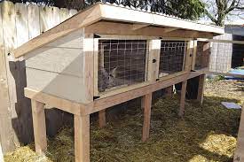 build a rabbit hutch and tractor self