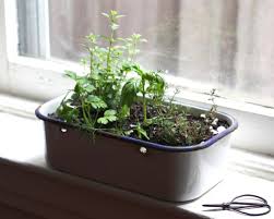 E A T Portable Kitchen Window Herb Garden