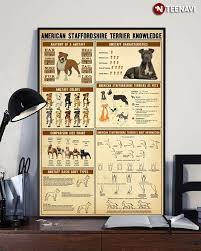 The ancestry of the american staffordshire terrier, or 'staffie' as it is sometimes known, includes breeds such as bulldogs and mastiffs used for bearbaiting. American Staffordshire Terrier Knowledge Canvas Poster Teenavi