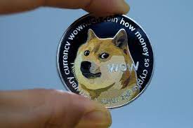 We don't meddle with any. How Much A 1 000 Investment In Dogecoin At The Start Of 2021 Is Worth