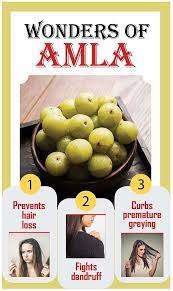 benefits of amla for hair growth
