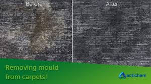 how to remove mould from carpets you