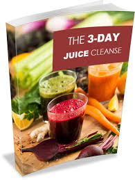 3 day juice cleanse dana dinnawi