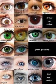 Eye Color Charts