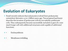 Evolution Of Prokaryotic And Eukaryotic Cells