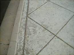 Concrete Surface Ling Sealgreen