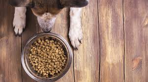 Ideally, you should choose a puppy food that is specially formulated for large breed puppies. Fromm Vs Orijen Which Food Is Better For Your Pup