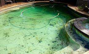 how to get rid of algae in a pool the