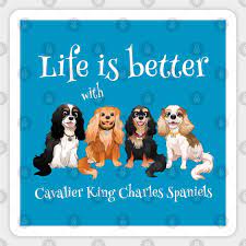 cavalier king charles spaniels gifts