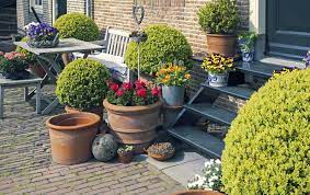 Pot Plants In Your Garden