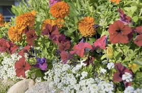 10 Tips For Flower Garden Designs