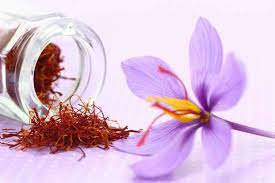 8 beauty benefits of saffron femina in