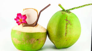 Dengan minum air kelapa, haid kita akan tuntas tas tas. Ibu Hamil Dilarang Konsumsi Kelapa Muda