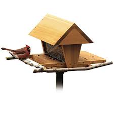 snack bird feeder woodworking plan