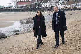 Meanwhile, the season 11 premiere saw joe hill (will hochman), the late joe reagan's son, work with jamie to find danny; Blue Bloods Season 11 Episode 8 Spoilers Danny Baez Hit The Beach