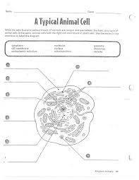 Animal cell coloring answer key questions. Jacobs Dawn Science Term 2