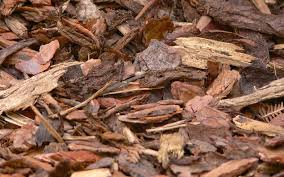 The Benefits Of Bark Mulch In Your