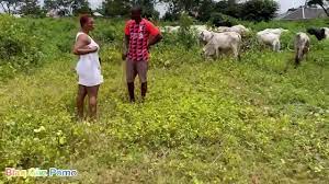 A Stranger Offered A Popular Slayqueen 15 Big Cows For Quick Rounds Of Sex  - XVIDEOS.COM