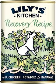 lily 039 s kitchen recovery recipe