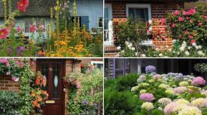 19 Front Yard Flowering Plants Shrubs