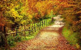 Image result for country road