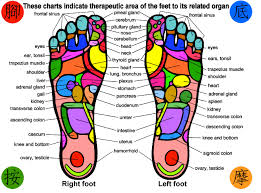 Print Your Own Foot Massage Chart Herbalshop
