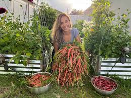 vegetable gardening in florida raised