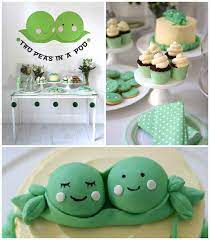 unique themes for a twin baby shower
